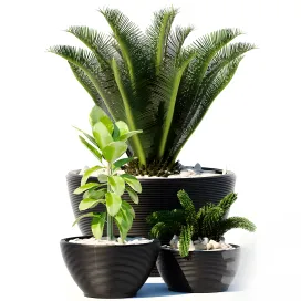 Plants